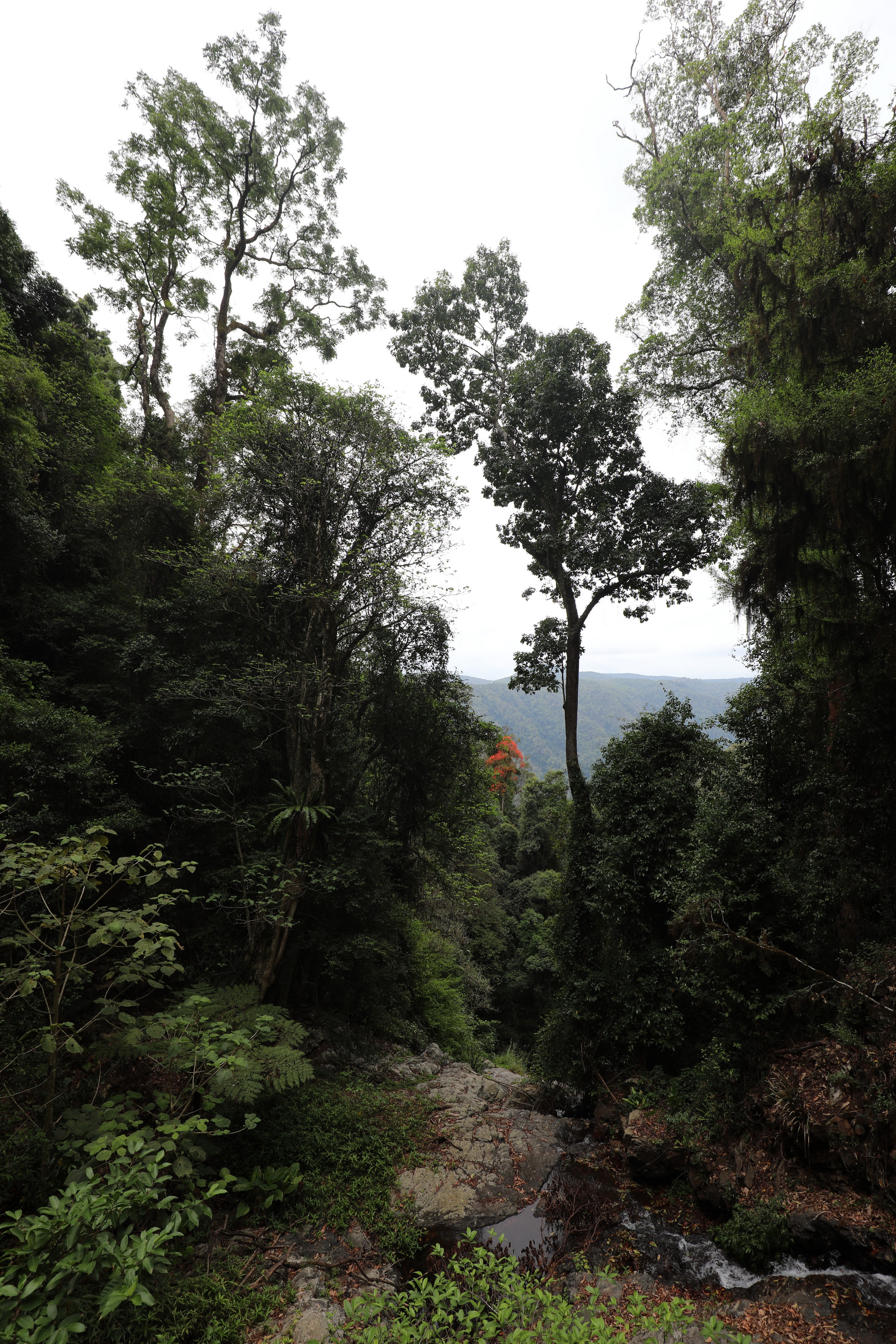 2020 01 14 15 14 25 Canon EOS 5D Mark IV 0017